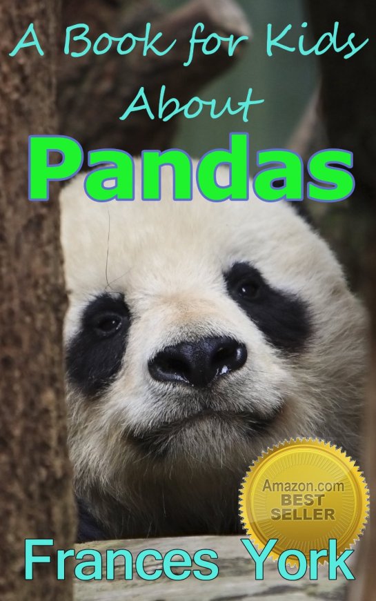 Teach your children about Pandas with this creative book. 