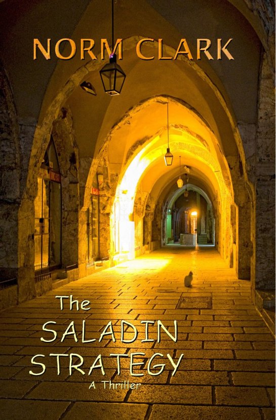 Action Packed Thriller that keep the pages turning ....