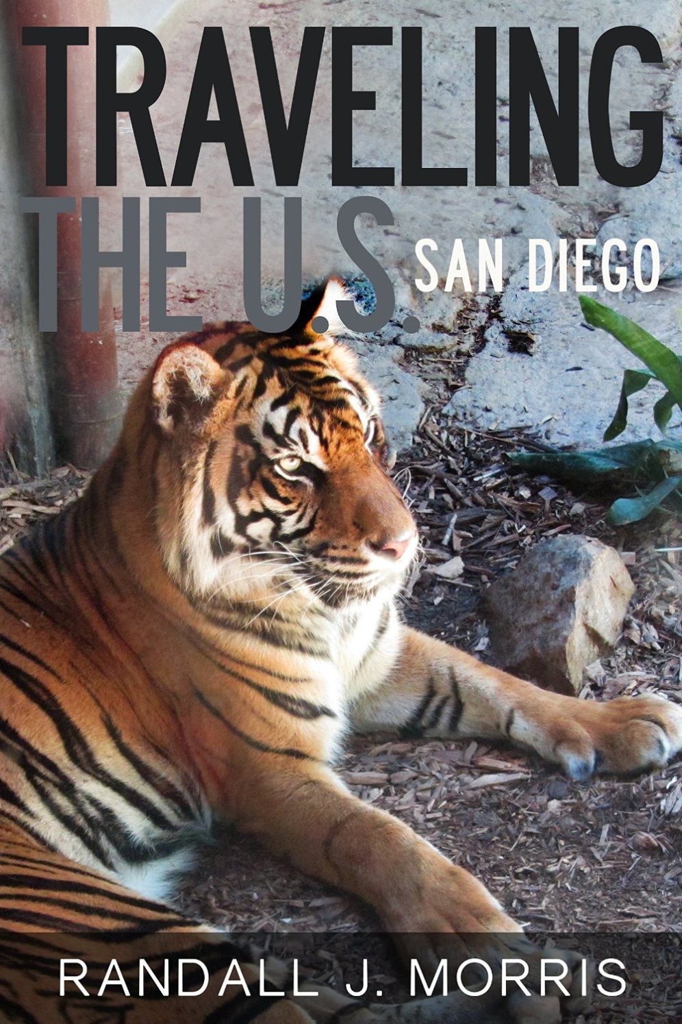 91isJhmRYgL._SL1500_