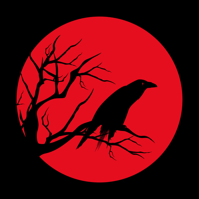 raven bird ominous design