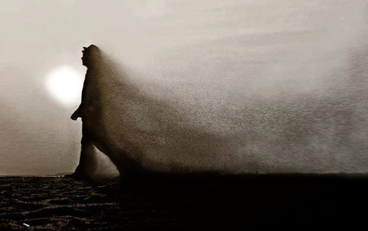 1521220_10153094155873185_2711656090051615506_n