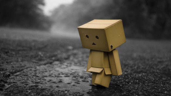 sad-danbo-in-the-rain-photography-hd-wallpaper-1920x1080-4653